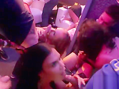 Sultry lookers give head and enjoy banging and sex orgy